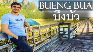 Bueng Bua บึงบัว - Prachuap Khiri Khan Thailand