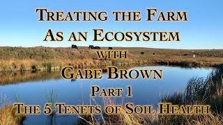 Treating the Farm as an Ecosystem with Gabe Brown Part 1 The 5 Tenets of Soil Health
