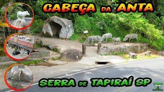 CABEÇA da ANTA na SERRA da SP 79 em TAPIRAÍ SP o vídeo mais lindo da parada mais famosa