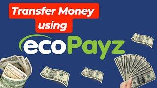 How to Money Transfer using ecoPayz  Send Receive & Deposit Money on ecoPayz