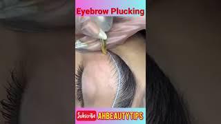 Satisfying Eyebrow Plucking  #eyebrows #eyebrow #eyes #short #shorts