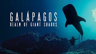 Galapagos Realm of Giant Sharks HD