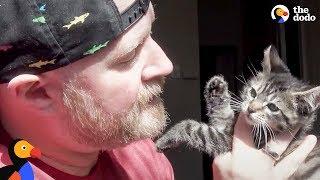 Man Falls In Love With Fostering Kittens  The Dodo