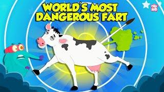 Worlds Most Dangerous Farts  Animals With Toxic Farts  The Dr. Binocs Show  Peekaboo Kidz