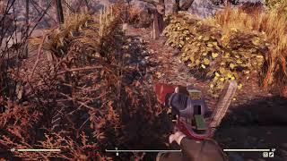 Fallout 76 Collect 10 Gourd Blossoms