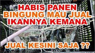 JUAL IKAN KESINI AJA AGAR DAPAT KEUNTUNGAN LEBIH