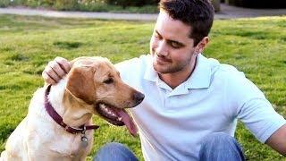 The Bond Between Mans Best Friend and Their Owner