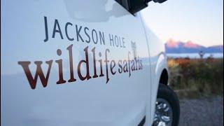 Jackson Hole Wildlife Safaris