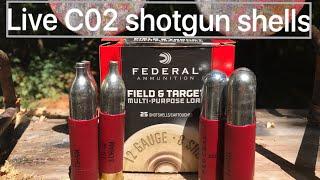 Full C02 custom shotgun shells