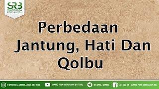 Perbedaan Jantung Hati Dan Qolbu - Ustadz DR Syafiq Riza Basalamah MA