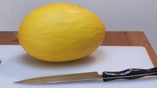 How to Eat Canary Melon  Taste Test