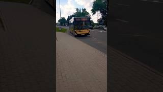 МаЗ 303.066 гн АТ 6330-7 по 115э марш.#transport #travel