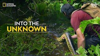 Into the Unknown  Primal Survivor  हिन्दी  National Geographic