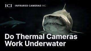 Do Thermal Cameras Work Underwater  Infrared Cameras Inc.