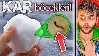 DO NOT EAT SNOW BUGS TikTok Life Hacks