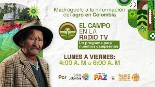 El Campo en la Radio TV