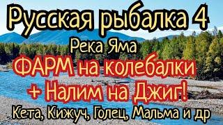 РР4. река Яма. ФАРМ на колебалки Налим на Джиг Где ловить Кета Мальма Кижуч Голец Арктический.