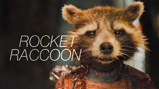 The Story of Rocket Raccoon