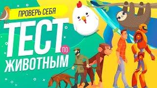 ТЕСТ ПО ЖИВОТНОМУ МИРУ ТОЛЬКО ДЛЯ ИСТИнНЫХ ЗООЛОГОВ  WILD MIND   ВИКТОРИНА  Бабочка УБИЙЦА