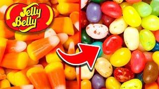 Top 10 Untold Truths of Jelly Belly