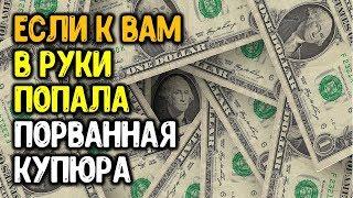 Если к вам в руки попала порванная купюра что делать чтобы привлечь деньги и богатство