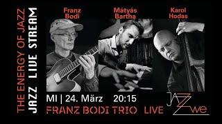 Franz Bodi Trio - LIVE at ZWE Jazz Club Vienna - JAZZ LIVE STREAM - Fine Guitar Jazz - Ferenc Bodi