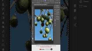 Remove Background Colour by Colour Range  How to make a Background transparent in Photoshop CC