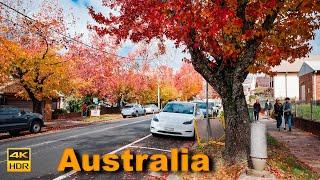 Australia Walking Tour in Autumn - Blackheath  4K HDR