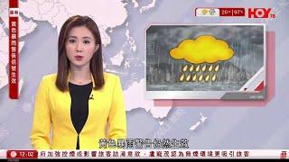 有線新聞 午間香港新聞｜即時新聞｜港聞｜兩岸國際｜資訊｜HOY TV NEWS｜ 20240609