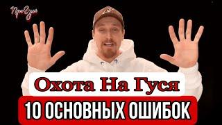 Охота на гуся Топ 10 ошибок при охоте на гусей