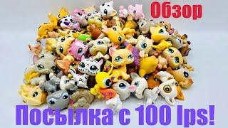 LPS ПОСЫЛКА С 100 LPS  Обзор #1