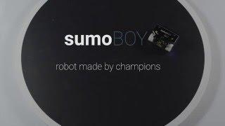 Robot SumoBoy is fast and furious