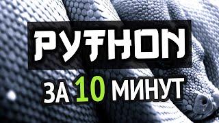 Учим Python за 10 минут