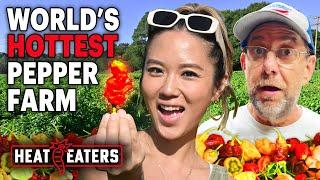 How Hot Ones Legend Smokin’ Ed Currie Grows the World’s Hottest Peppers  Heat Eaters
