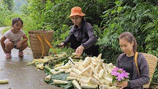 Single mother goes to the forest to sell bamboo shoots and cook delicious dishes from bamboo shoots