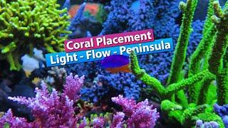 Coral Placement -Lighting flow Spacing. Peninsula