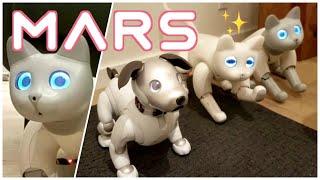 aibo meets MARSCAT  hands on 