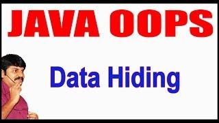 Java Tutorials  Java OOPS   Data Hiding  by Durga Sir