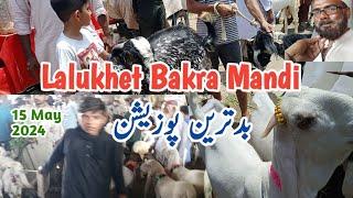New Prices Revealed At Lalukhet Bakra Mandi Goat Market Update