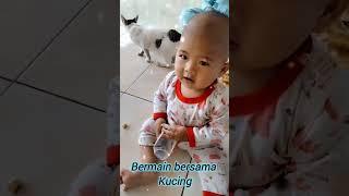 #bayilucu#bermain bersama kucing