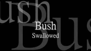 Bush - Swallowed lyric HQ