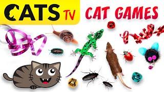 CAT GAMES 🪳 Ultimate CATS TV Compilation 20 in 1  4K 60 FPS 5 HOURS