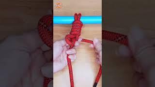 How to tie knots rope diy at home #diy #viral #shorts ep1358