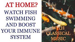 Watch nature to boost your immune system - Helps to reduce stress and turn back your biological age