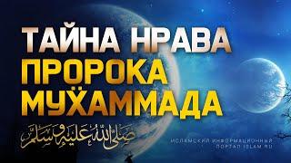 Тайна нрава Пророка Мухаммада ﷺ