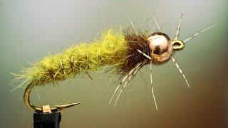 Eureka caseless caddis nymph