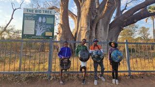 Mbira Music can become the biggest export from rural Zimbabwe 