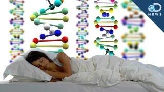 Sleep Loss Screws Your Genes