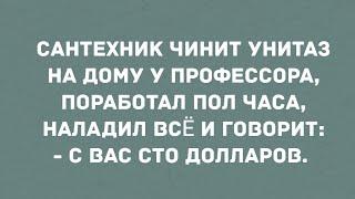 Сантехник чинит унитаз на дому у профессора. Смех Юмор Позитив