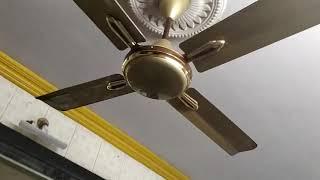 Orient Electric Quadro ornamental 4 blade ceiling fan